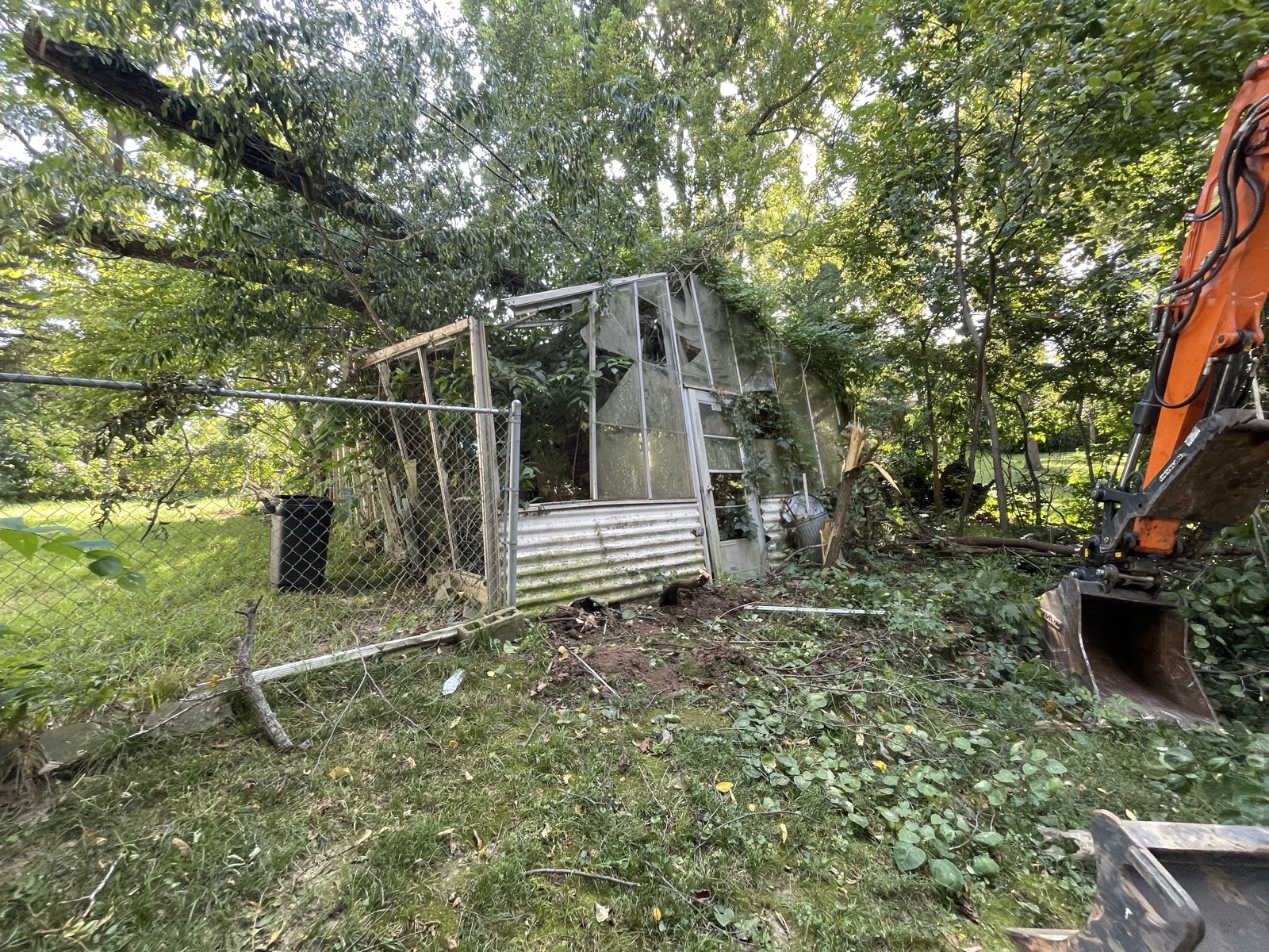 Glass-and-poly greenhouse with a fallen tree across it, before removal — Decatur, IL — Brohez Trucking LLC