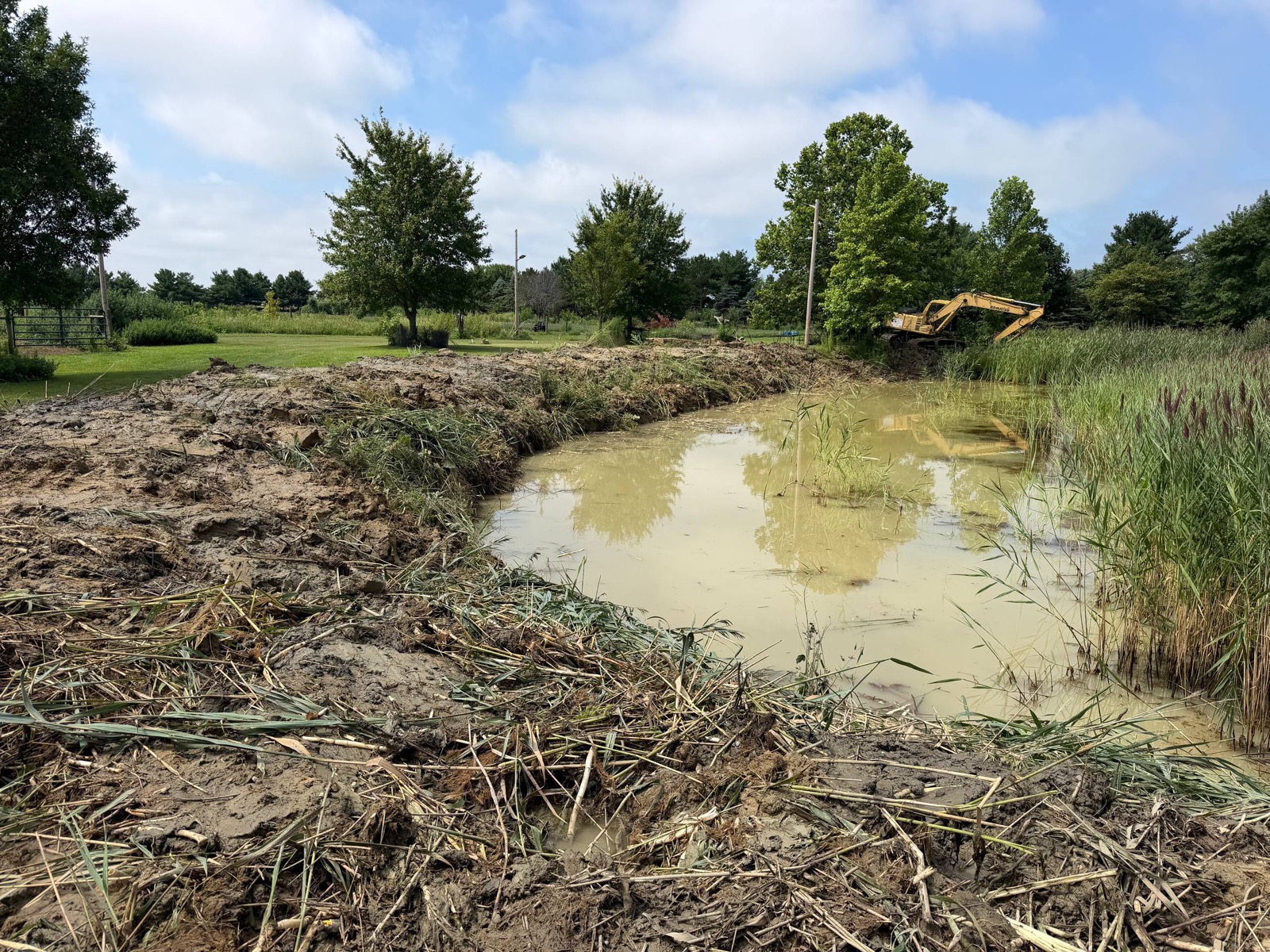 After — open water and a reshaped bank where the cattails had been, near Urbana, Illinois — Brohez Trucking LLC