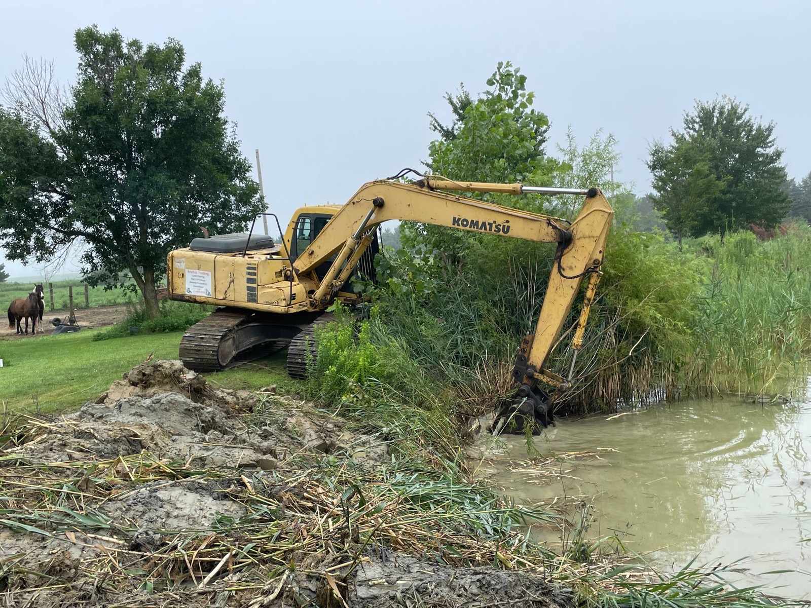 During — excavator reaching past the reed line to get under the cattail root mat — Brohez Trucking LLC