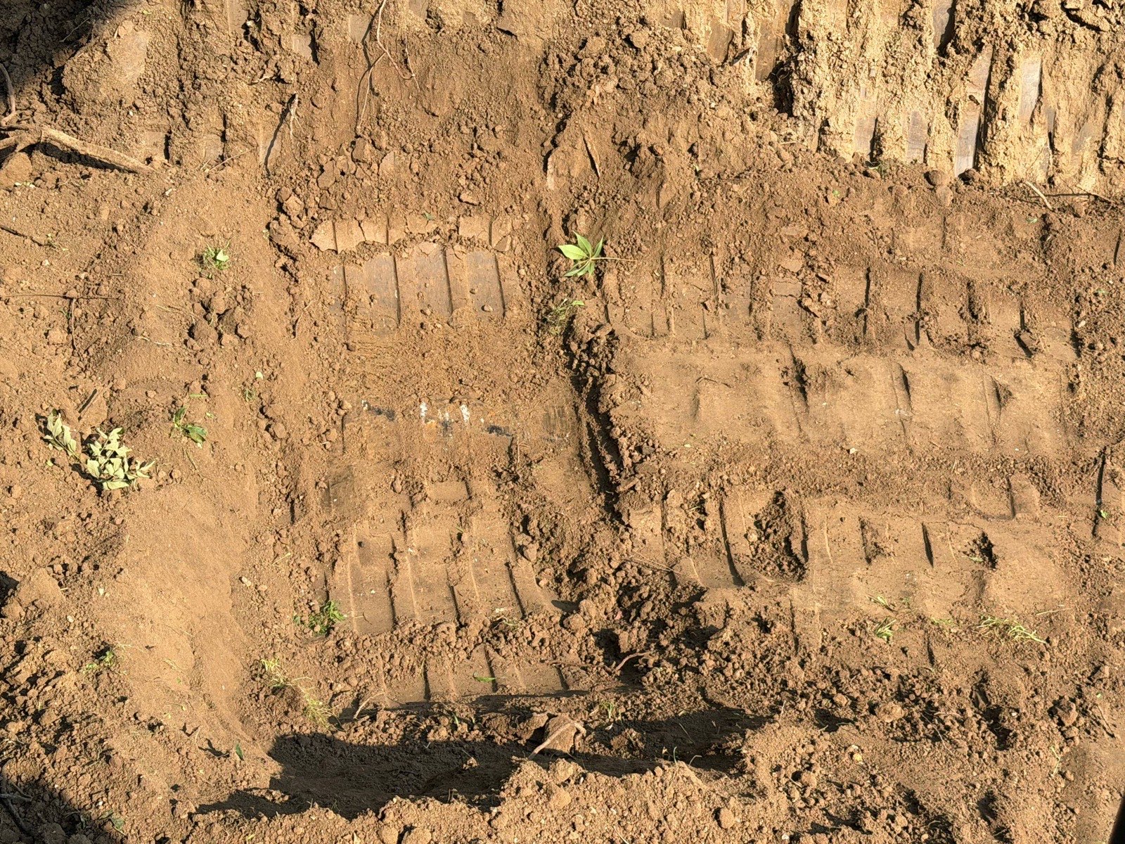 Clay lift track-packed with the excavator while rebuilding a pond dam near Decatur, Illinois