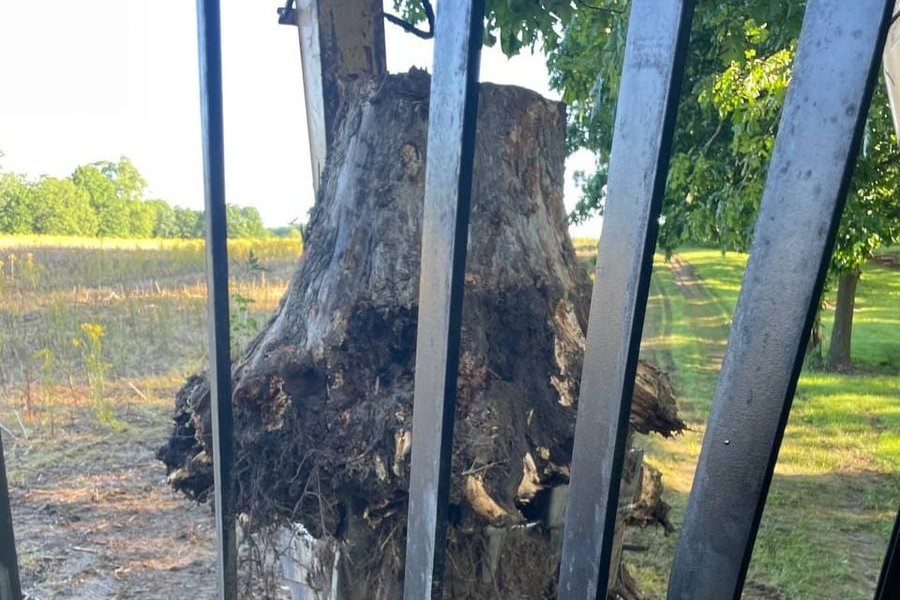 Large tree stump pulled out of the ground by Brohez Trucking LLC — central Illinois stump removal